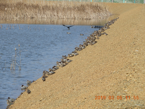 DSCN7275.JPG
