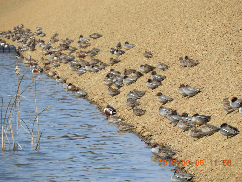 DSCN7276.JPG