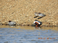DSCN7278.JPG