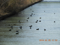 DSCN7270.JPG