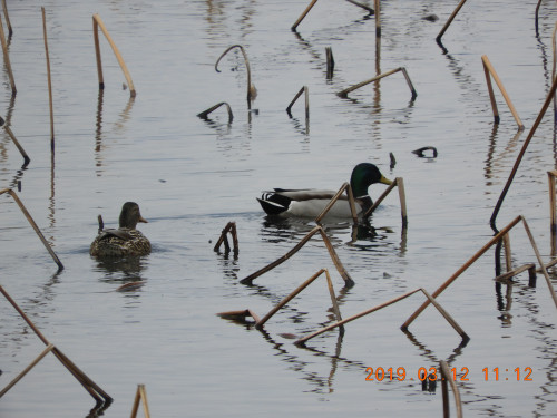 DSCN7317.JPG