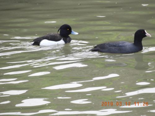 DSCN7333.JPG