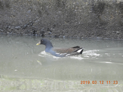 DSCN7329.JPG
