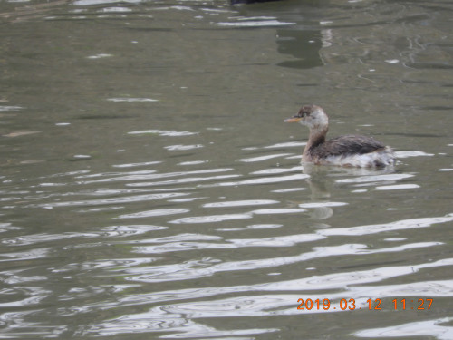 DSCN7334.JPG
