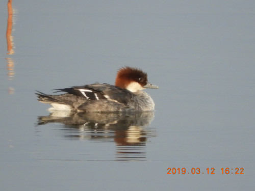 DSCN7349.JPG