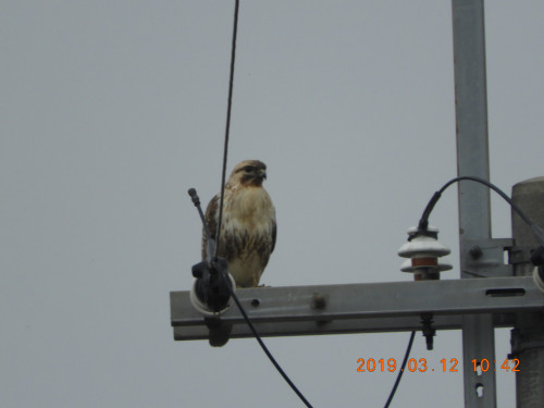 DSCN7301.JPG