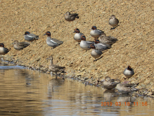 DSCN7402.JPG