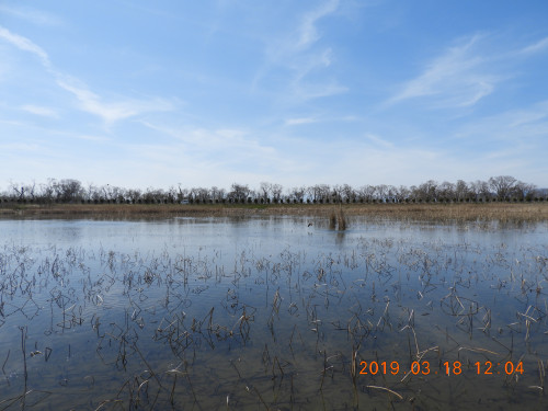 DSCN7404.JPG