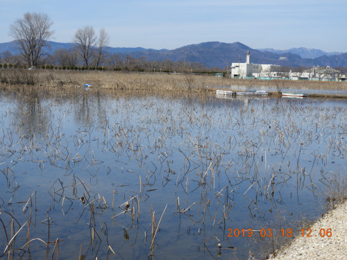 DSCN7410.JPG
