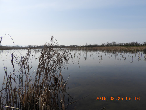DSCN7449.JPG