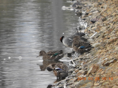 DSCN7463.JPG