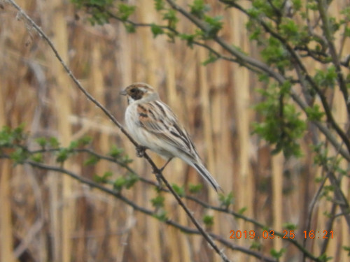 DSCN7479.JPG