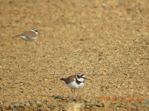 DSCN7441.JPG