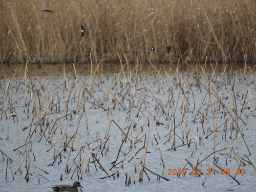DSCN7553.JPG
