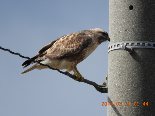 DSCN7548.JPG