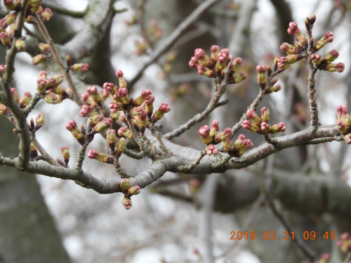 DSCN7549.JPG