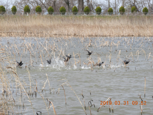 DSCN7566.JPG