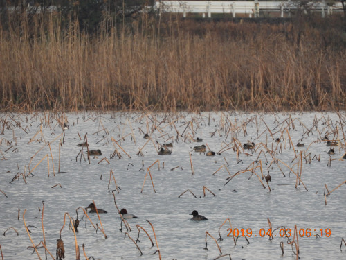 DSCN7653.JPG