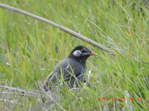 DSCN7661.JPG