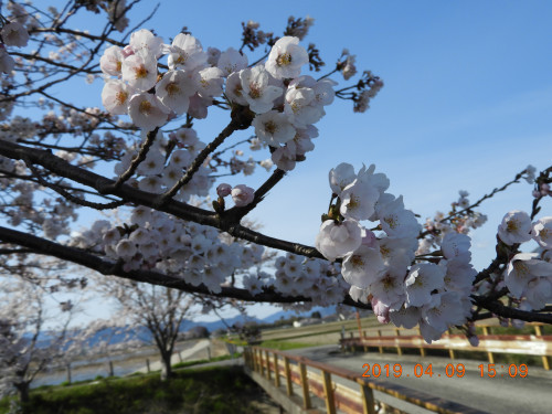 DSCN7728.JPG