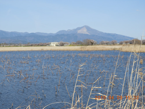 DSCN7734.JPG