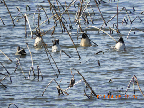 DSCN7727.JPG
