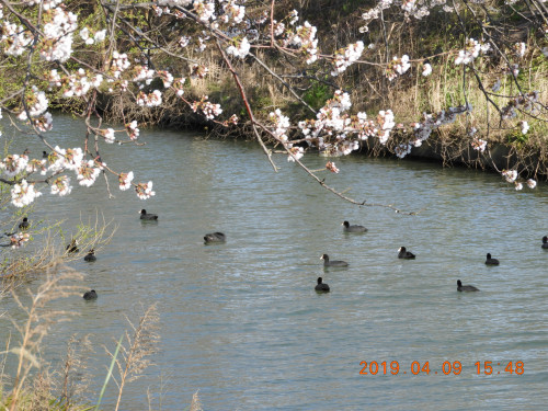 DSCN7738.JPG