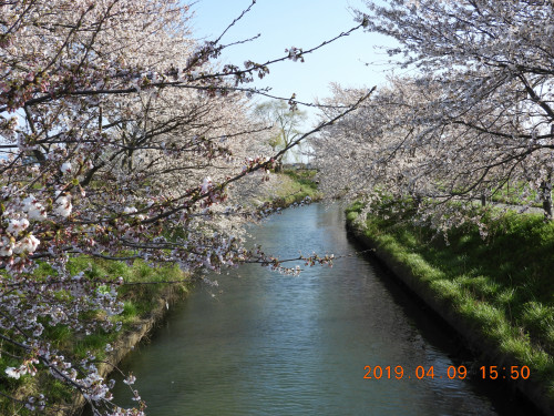 DSCN7740.JPG