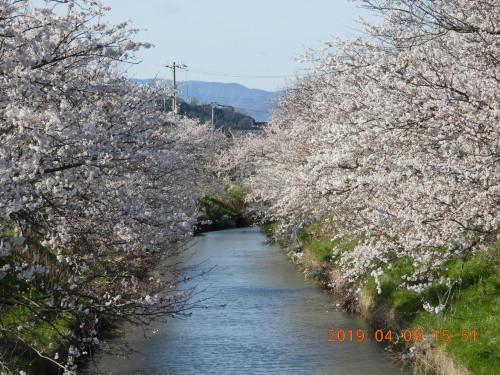 DSCN7741.JPG