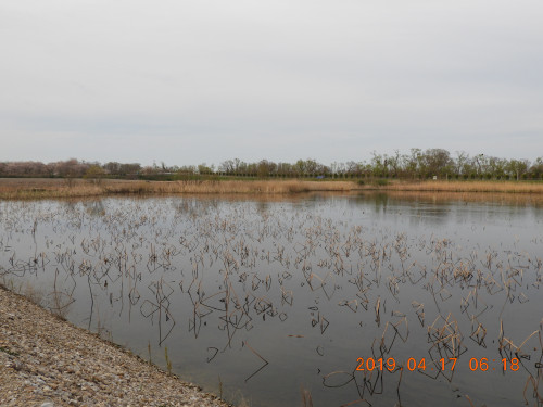 DSCN7788.JPG