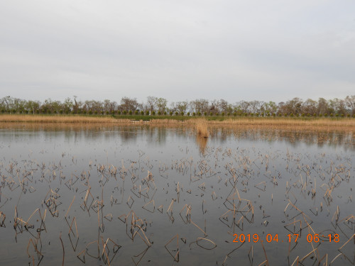 DSCN7789.JPG