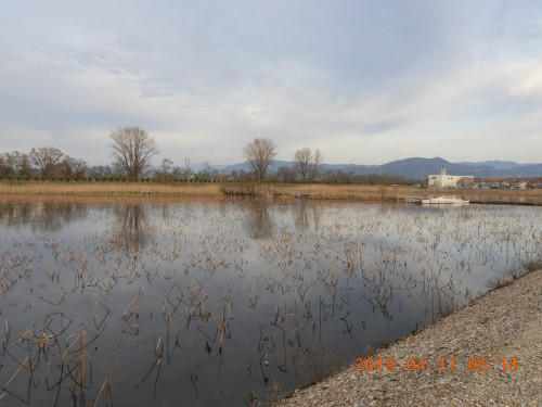 DSCN7790.JPG
