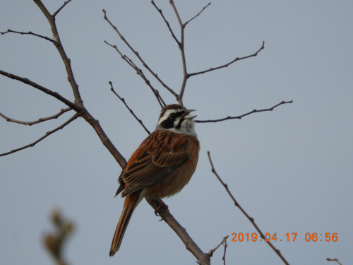 DSCN7808.JPG