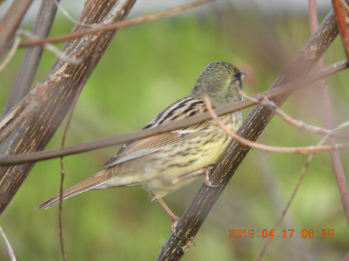 DSCN7809.JPG