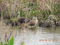 DSCN7868.JPG