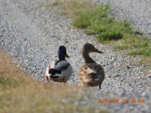 DSCN7833.JPG