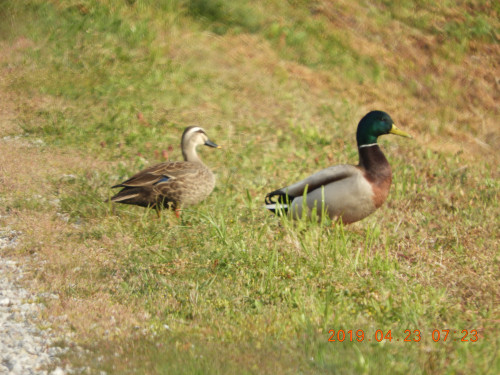 DSCN7854.JPG