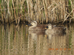 DSCN7861.JPG