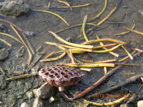 DSCN7840.JPG
