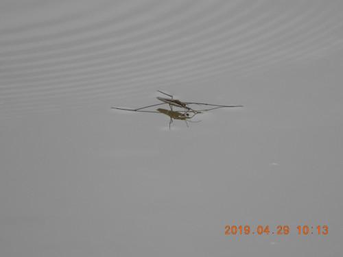 DSCN7898.JPG