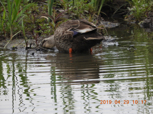 DSCN7906.JPG