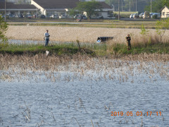 DSCN7943.JPG