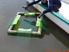 RSCN7955.JPG