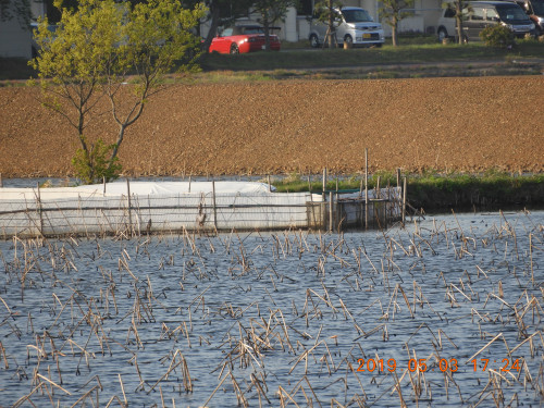 DSCN7953.JPG