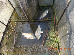 DSCN7940.JPG