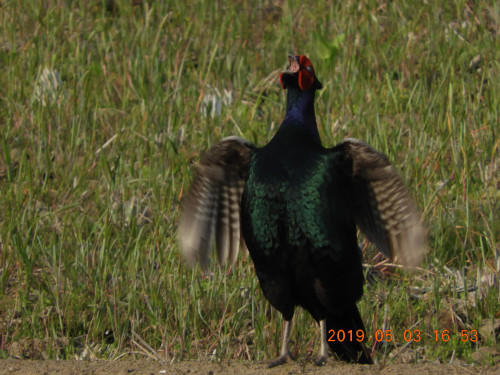 DSCN7932.JPG