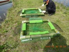 DSCN7956.JPG