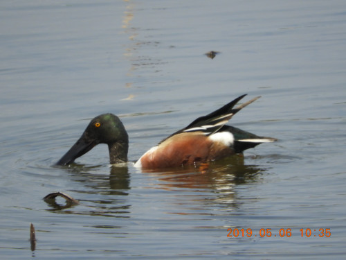 DSCN7982.JPG