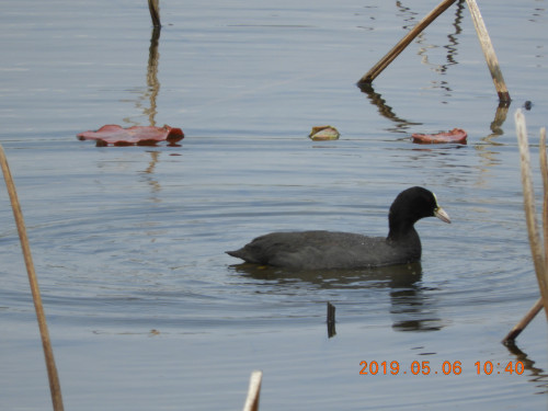 DSCN7990.JPG
