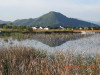 DSCN8003.JPG